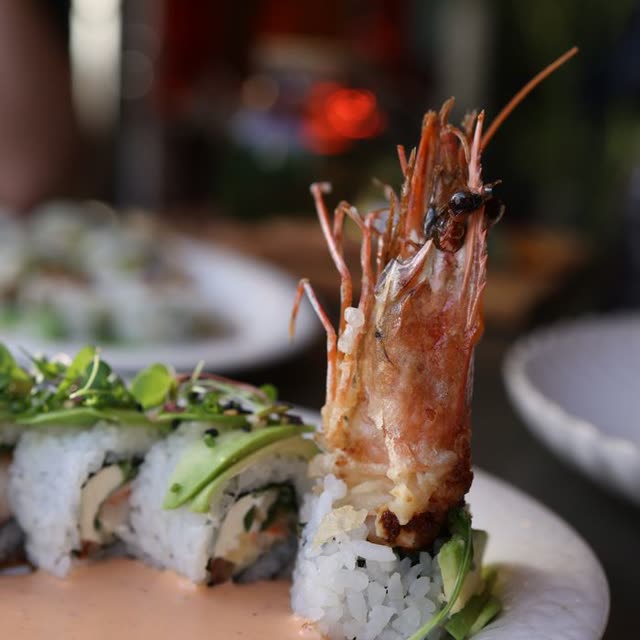 501 · Ebi Tempura Roll with breaded prawns, cream cheese, cucumber, masago, coated in sesame
